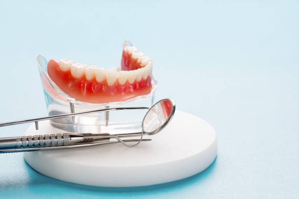 Best Preventive Dentistry  in Princeton, WV